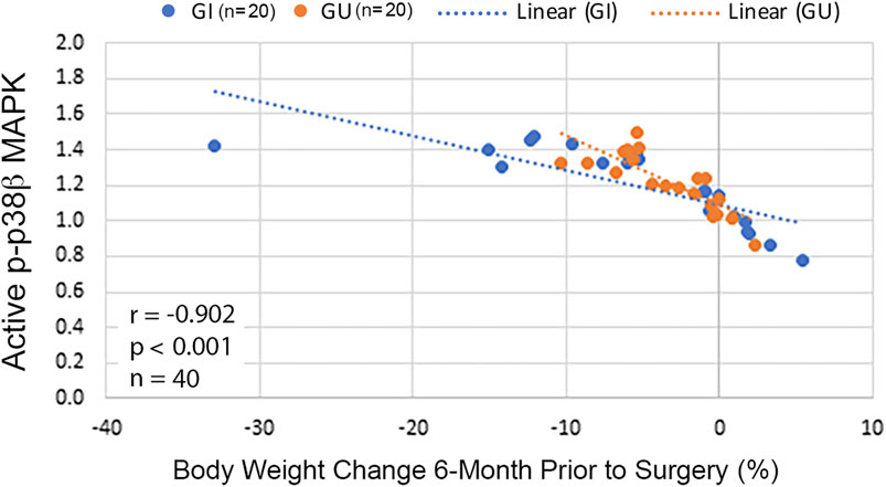 Scatter diagram from Zhang et al.